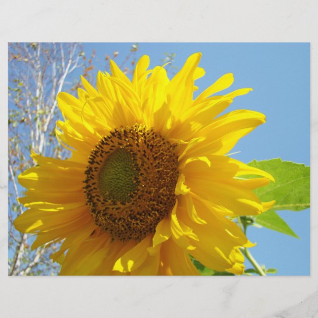 Tournesol Papier à écaille Jaune Floral été (Devant)