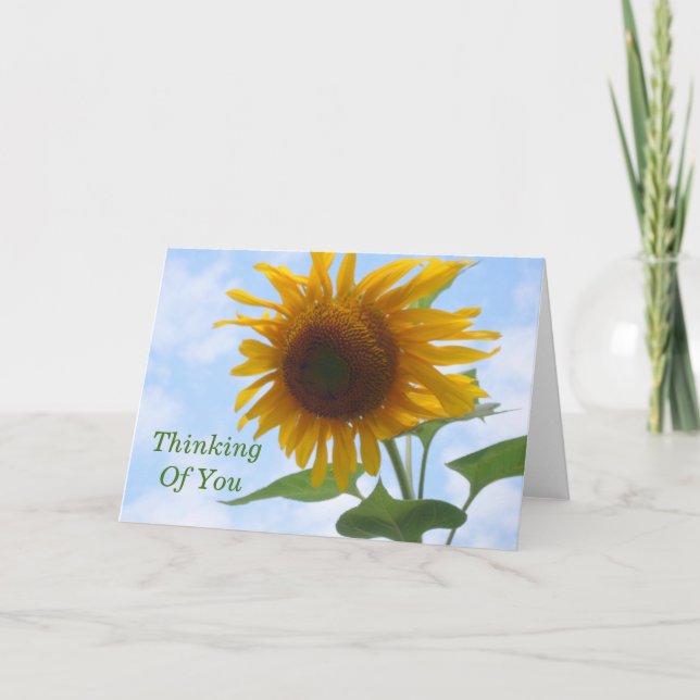Tournesol Pensez à votre carte (Devant)