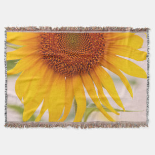 Tournesol Photo Couvertures