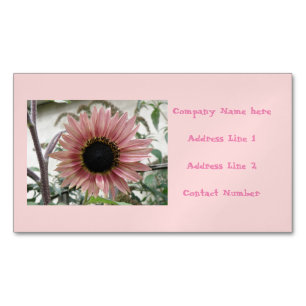 Tournesol rose pâle Magnets d'affaires personnalis