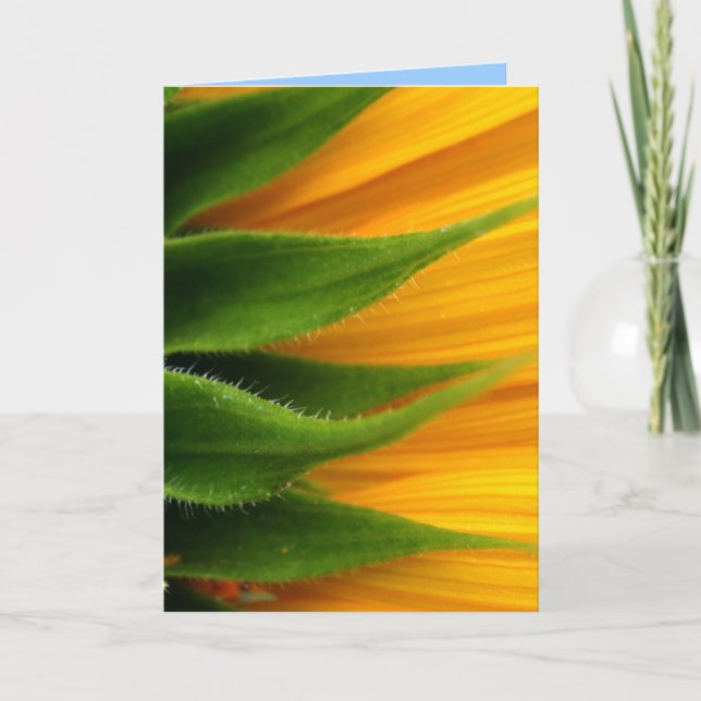 Tournesol Se Bien Bientôt Carte De Voeux (Devant)