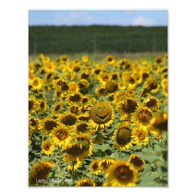 Tournesol souriant - Impression photo 11x14 (Devant)