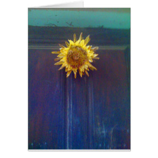 tournesol sur une porte