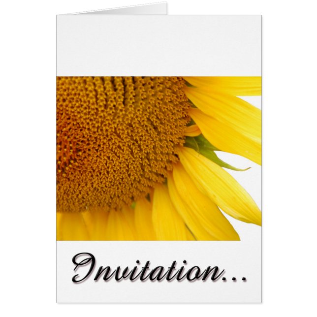 Tournesols (Devant)