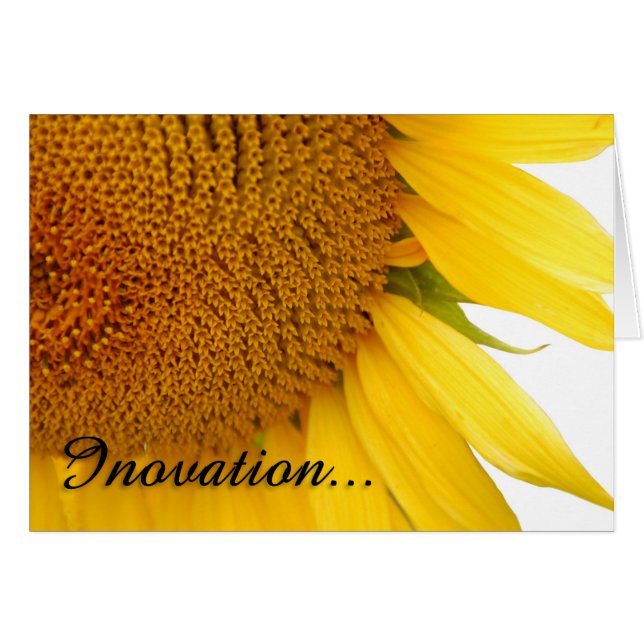 Tournesols (Devant horizontal)