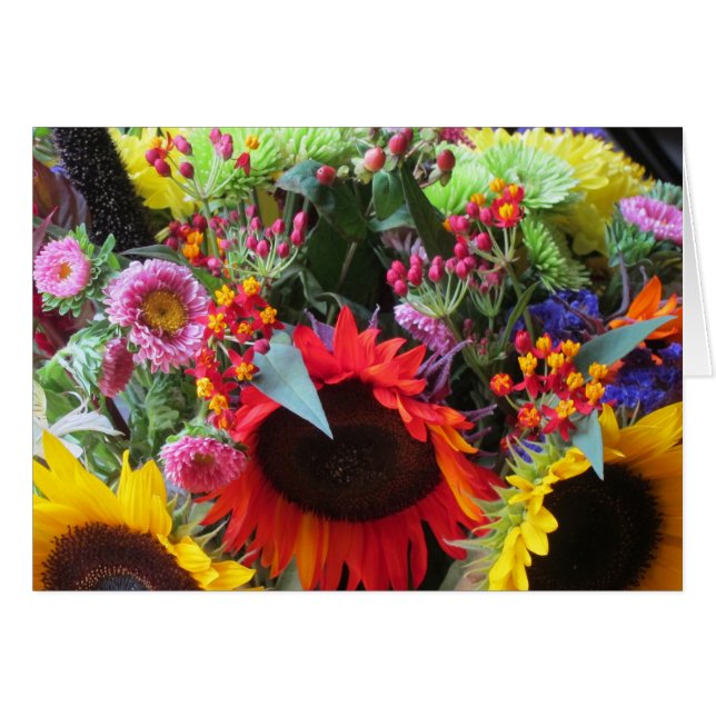 Tournesols (Devant horizontal)