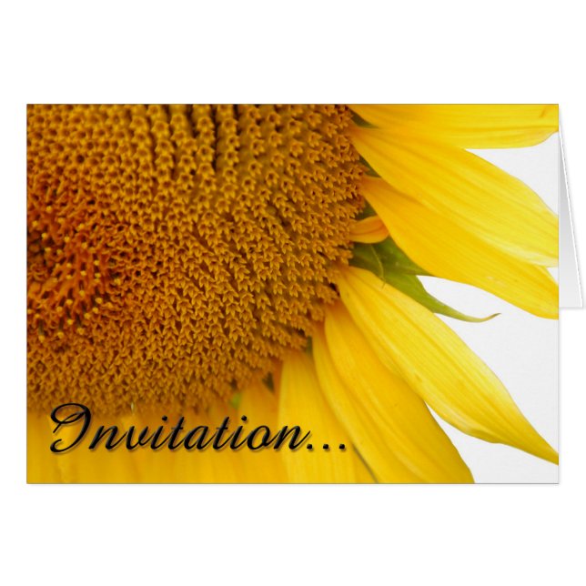 Tournesols (Devant Horizontal)