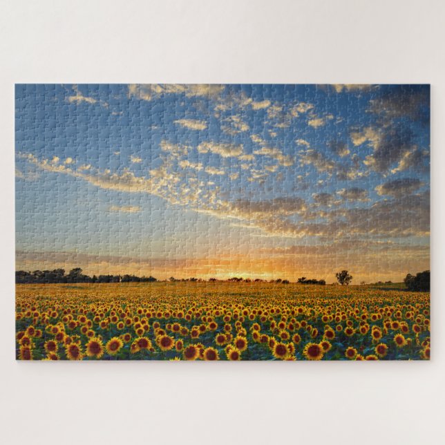 Tournesols au puzzle du coucher du soleil (Horizontal)