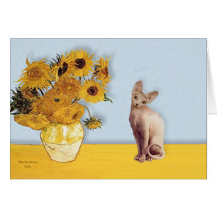 Tournesols - Chat Sphyx crème