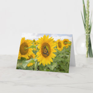 Tournesols et carte pour notes de monarque