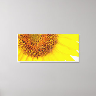Tournesols Et Toile D'Abeilles