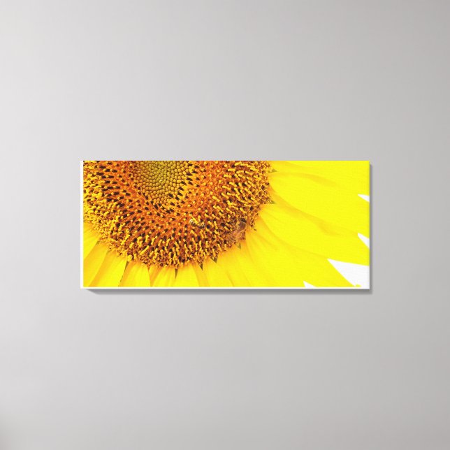 Tournesols Et Toile D'Abeilles (Recto)