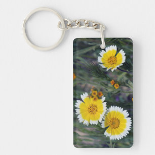 Tournesols jaunes et blancs fleur sauvage