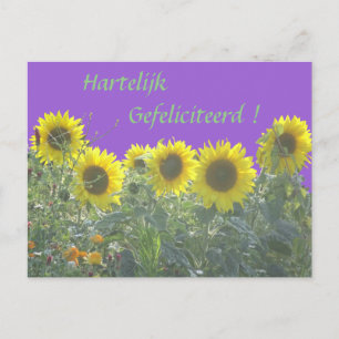 Tournesols Joyeux Anniversaire sur carte postale n
