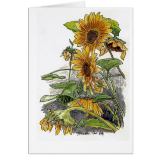 Tournesols sauvages