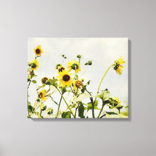 Tournesols sauvages et toile d'art gris ciel Impri