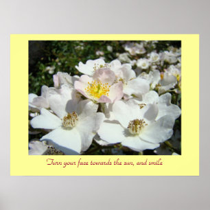 Tournez votre visage vers le soleil & impression d