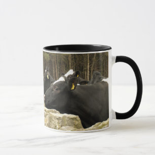 Tous dans une tasse de sonnerie de rangée