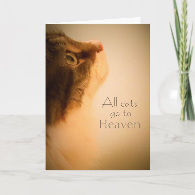 Tous les chats vont au paradis Carte de Sympathie (Devant)