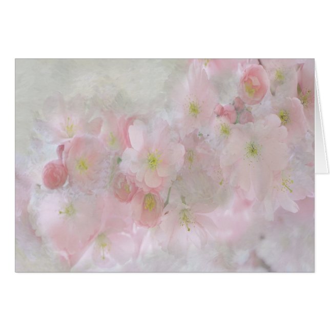 Tous les rêves en rose (Devant horizontal)