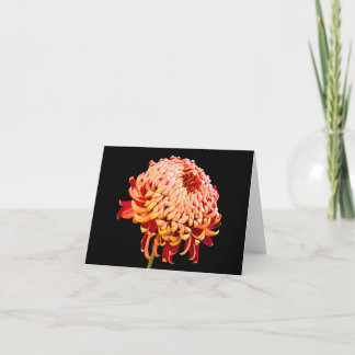 Tous occasionnent la carte de voeux rouge de note
