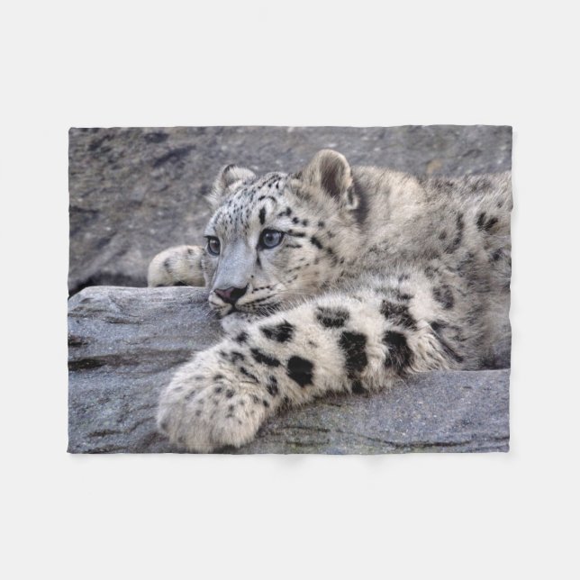 Tous ont joué la couverture d'ouatine (Devant (Horizontal))