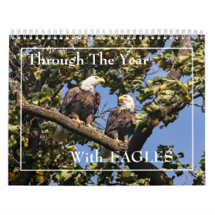 Tout Au Long De L'Année Avec Calendrier Des Aigle