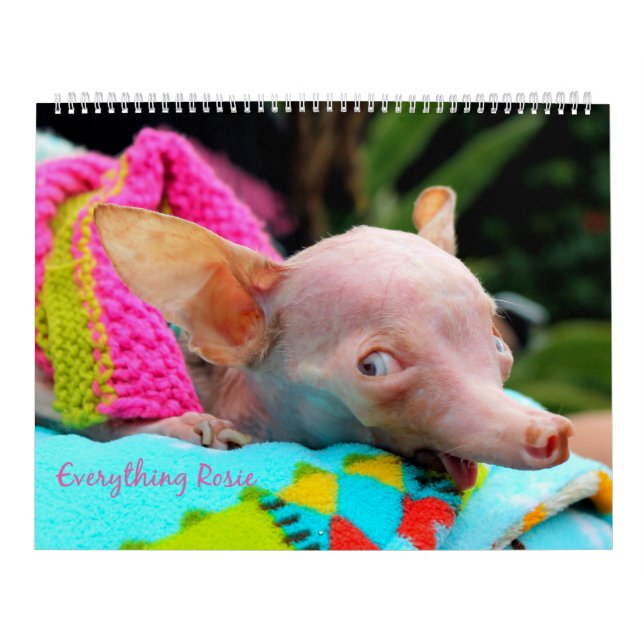 Tout calendrier de Rosie (Protection)