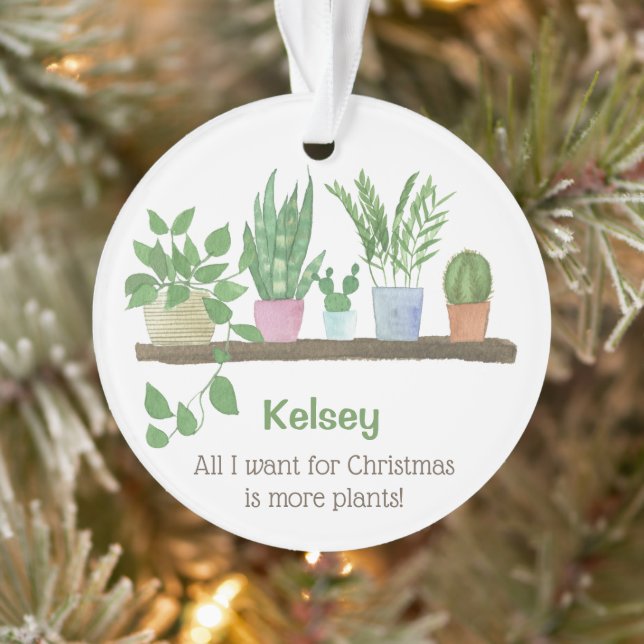 Tout ce que je veux pour Noël, c'est plus de plant (Arbre)