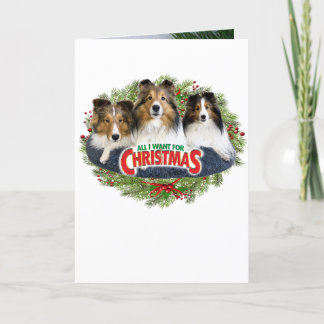 "Tout ce que je veux pour Noël" Chroniques Carte d