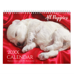 Tout chiots 2027 Calendrier mural de chien chiot m