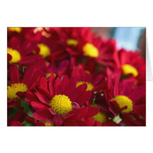 Tout le monde a une maman