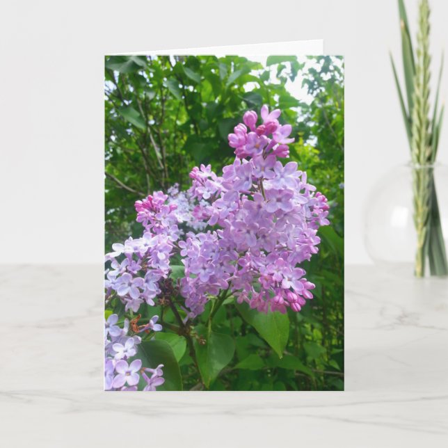 Toute la carte de voeux d'occasion (blanc à (Devant)