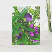 Toute la carte de voeux d'occasion (blanc à