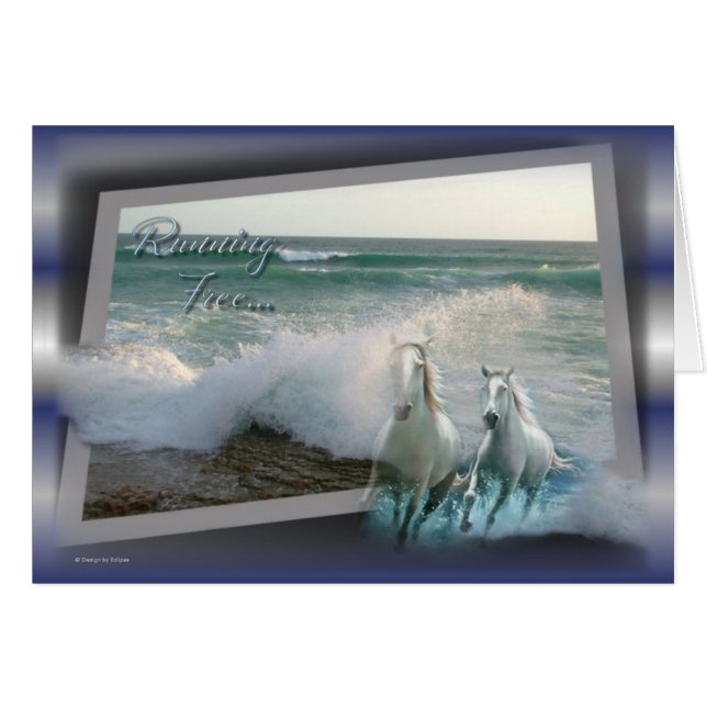 Toute la carte d'occasion (Devant horizontal)