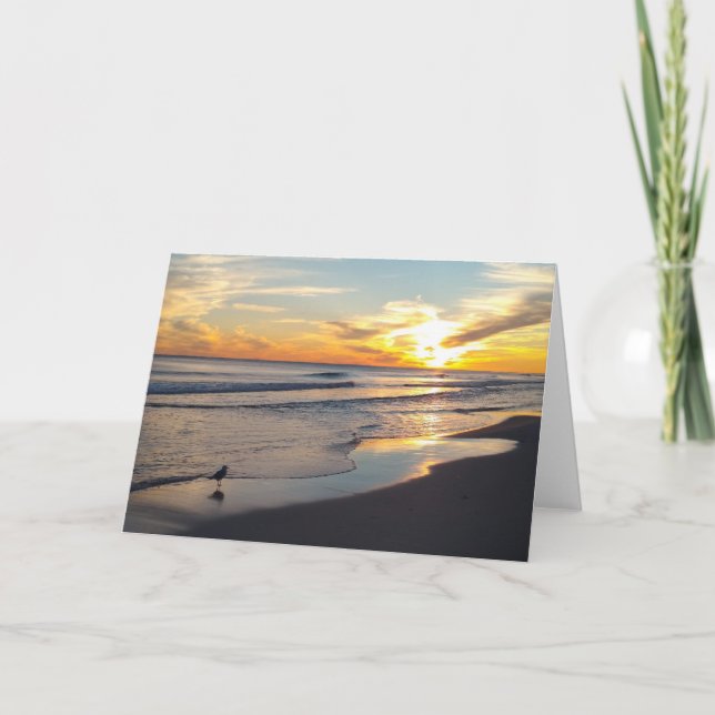 Toutes les cartes d'occasion - Vide à l'intérieur (Devant)