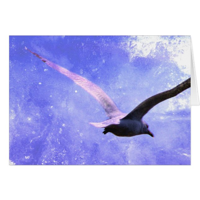 Toutes les occasions (Devant horizontal)