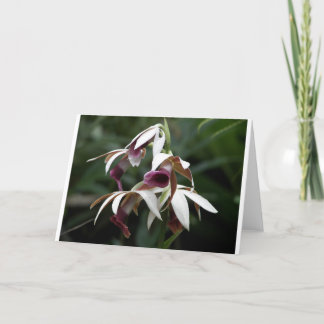 Toutes les occasions carte de voeux avec belle fle