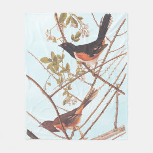 Toweed Bunting Audubon Black and Orange Song Birds Fleecedecke