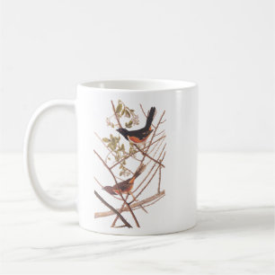 Toweed Bunting Audubon Black and Orange Song Birds Kaffeetasse