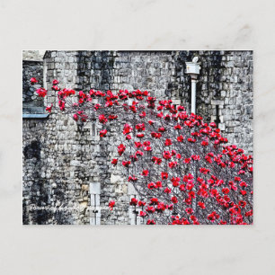 Tower of London Poppies Postkarte