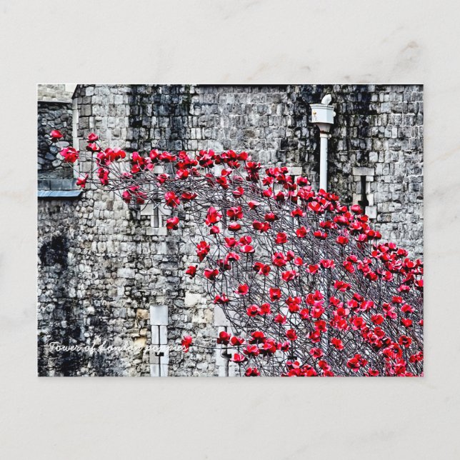 Tower of London Poppies Postkarte (Vorderseite)
