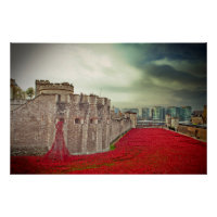 Tower of London Red Poppies Poppy