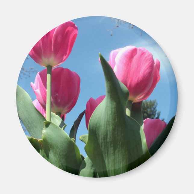 Towering Tulips Magnet (Vorne)