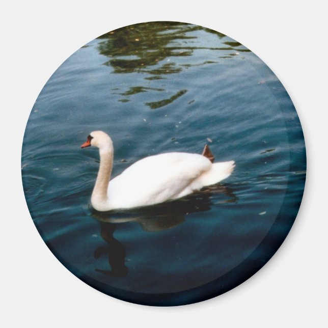 Town Bird Magnet (Vorne)