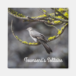 Townsend-Solitaire Magnet