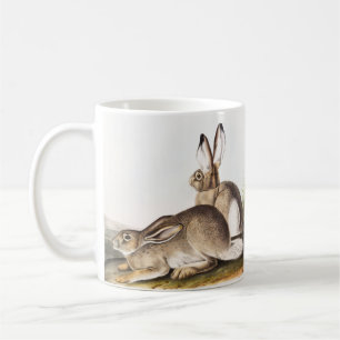 Townsend's Rocky Mountain Hare (Lepus Townsendii) Kaffeetasse