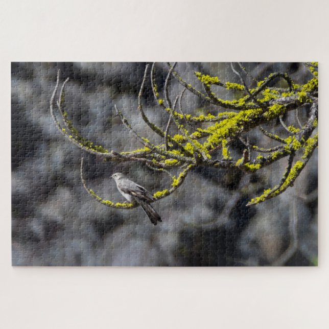 Townsend's Solitaire (Horizontal)