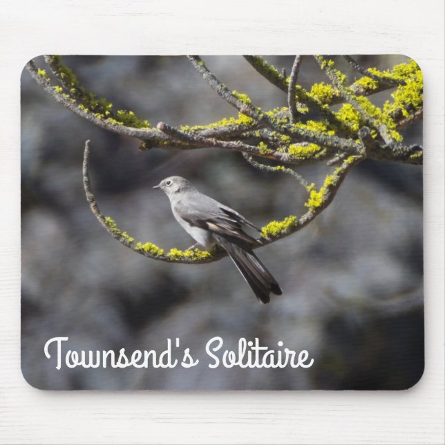 Townsend's Solitaire Mousepad (Vorne)