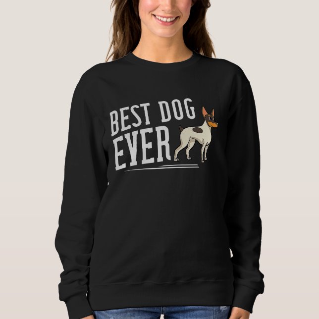 Toy Fox Terrier Dog Puppies Owner Sweatshirt (Vorderseite)